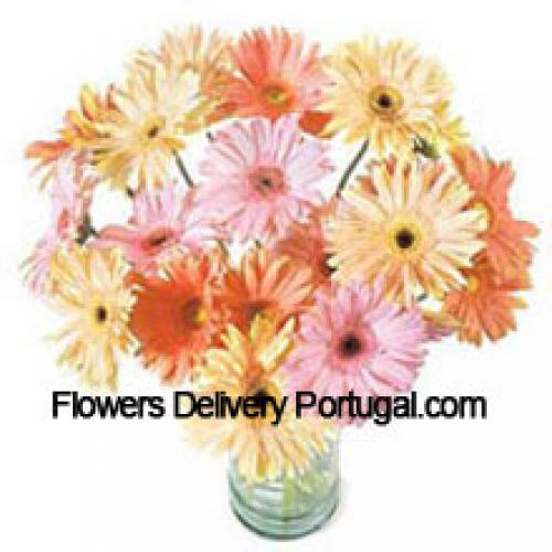 25 Fancy Assorted Gerberas