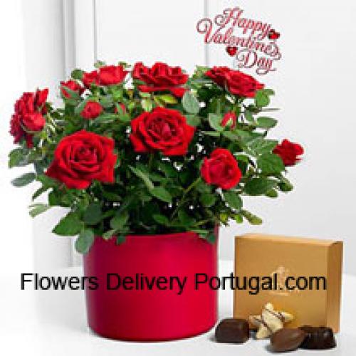 25 Rosas Rojas con Deliciosos Chocolates Godiva